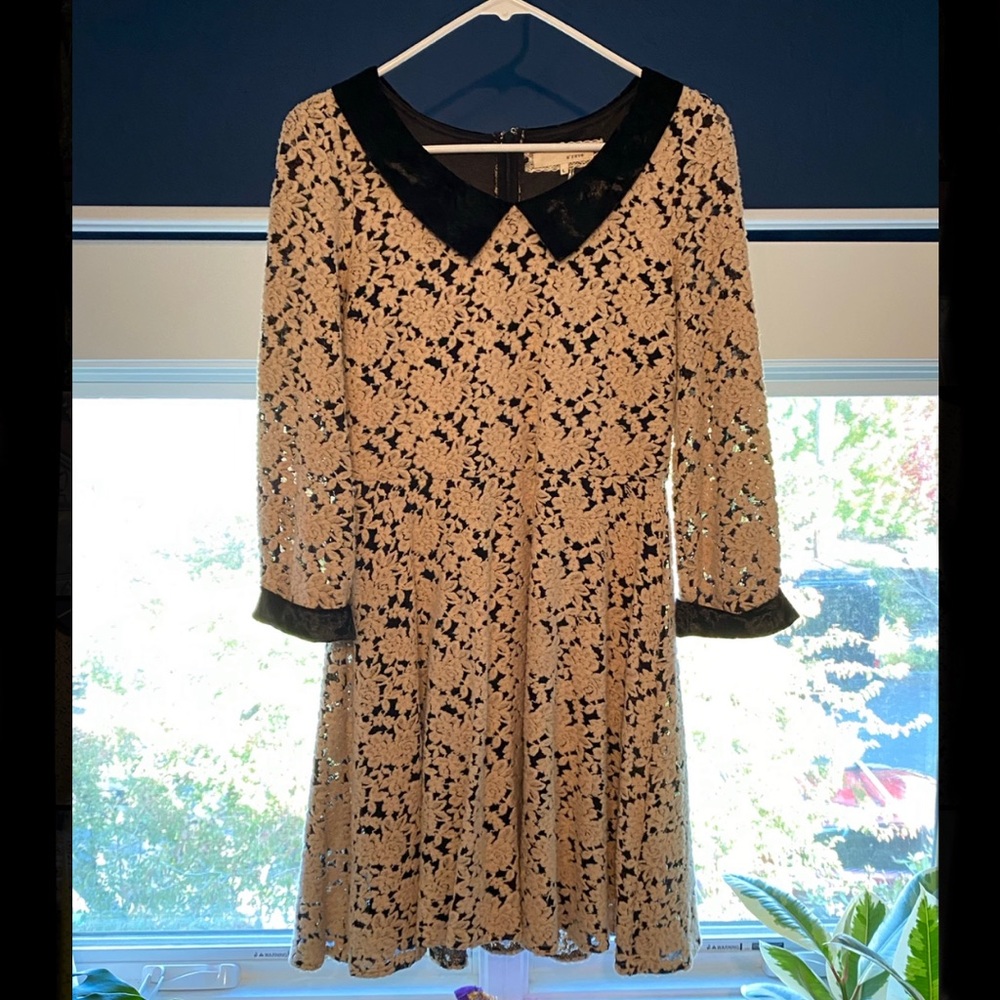 A’reve retro-style dress w/appliqué overlay, velvet collar & cuffs, black liner.